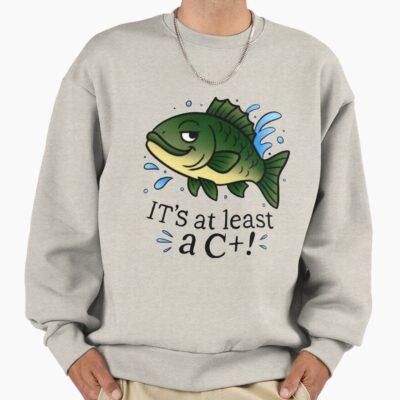 It S At Lease A C Sweatshirt